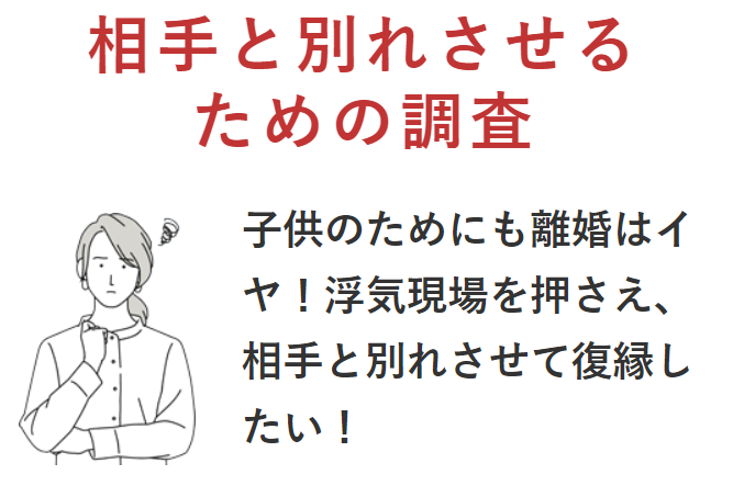 総合探偵社TSの相手と別れさせるための調査